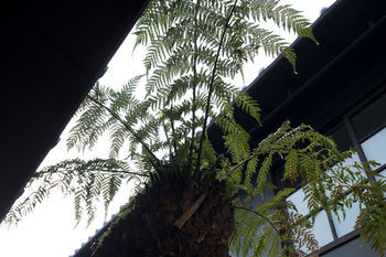 Casa de férias Kyomachiya Shiki Juraku Quioto
